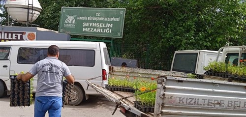 Mezarlıklarda Vatandaşlara Çiçek Dağıtıldı